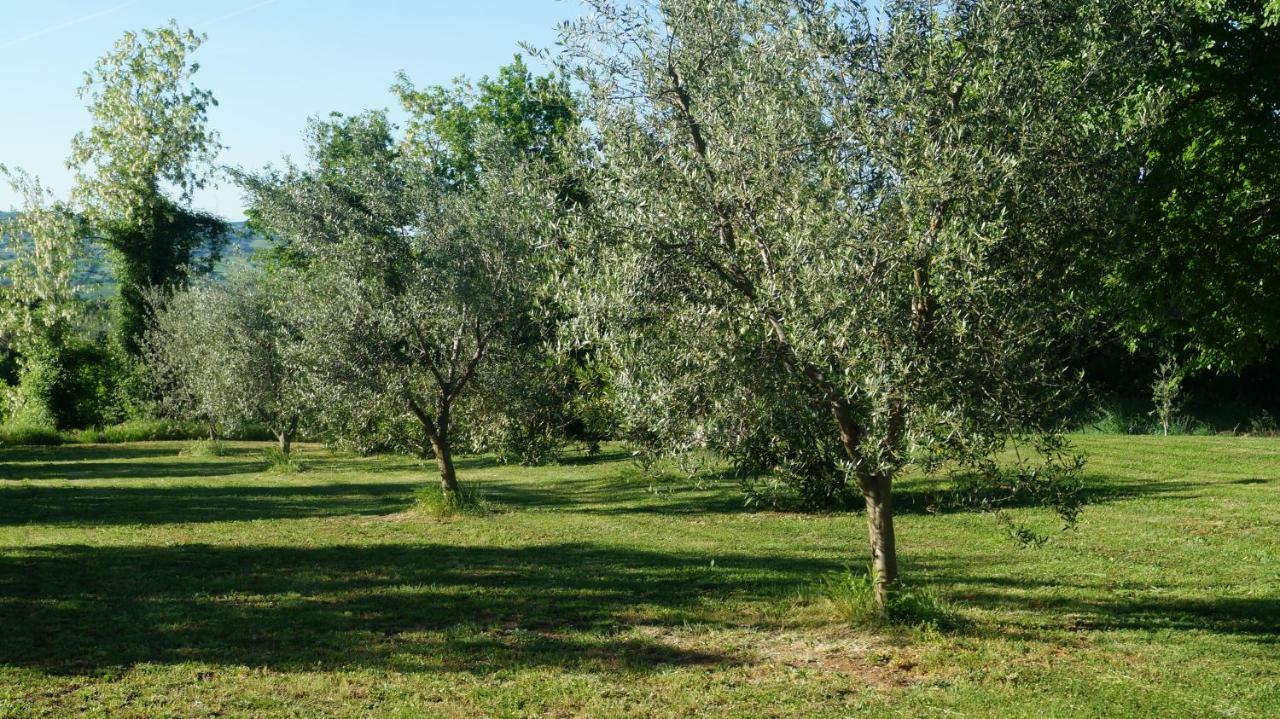 Agriturismo Poggio San Pietro Pitigliano Extérieur photo